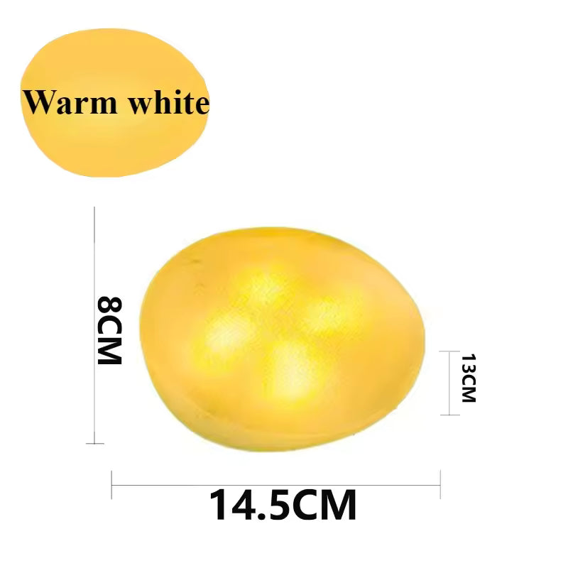Outdoor Solar Garden Light